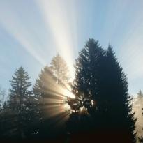 Альбом природа